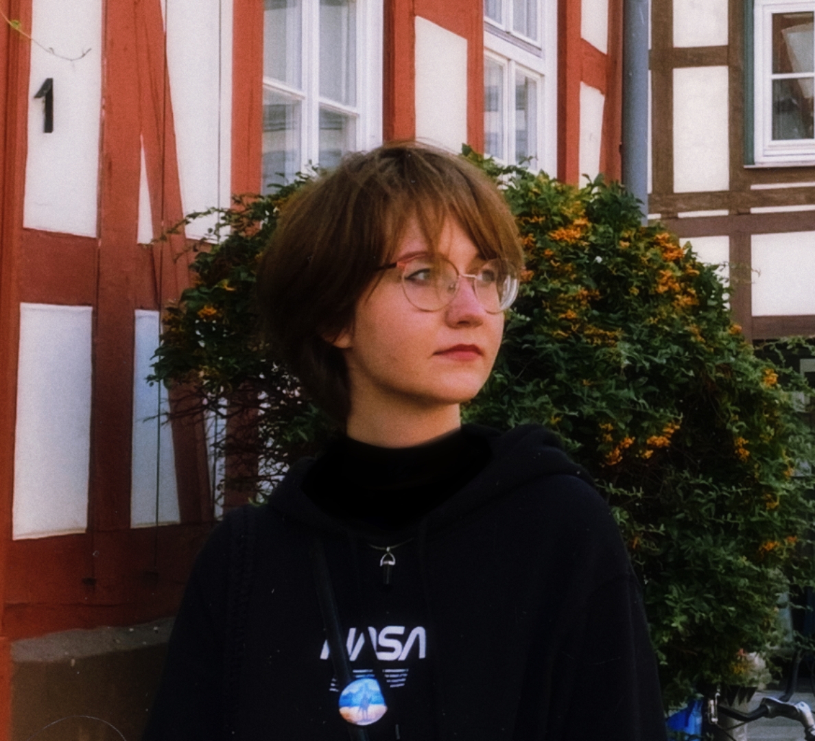 Developer